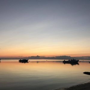 Meet your Posher, Lynne